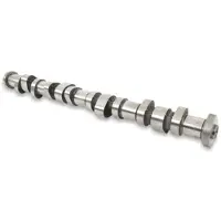 FAI AutoParts C253 Arbre à cames pour RENAULT Clio III berline (BR0/1, CR0/1), TWINGO II (CN0), CLIO II (BB0/1/2, CB0/1/2) et MEGANE III Grandtour (KZ0/1)