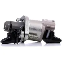 Denso Détendeur, système à rampe commune DCRS300250