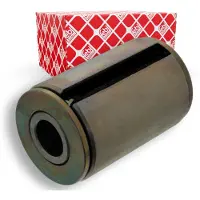 FEBI BILSTEIN Coussinet de palier, ressort à lames 38502