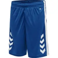 Hummel Pantalon de sport bleu / blanc