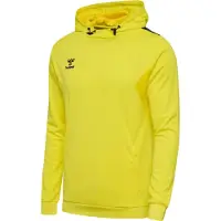 Hummel Sweat de sport 'Authentic PL' jaune / noir