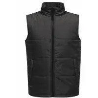 Regatta - Gilet Isolé pour Homme RG3564 (L) (Gris Foncé/Noir)