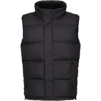 Regatta - Gilet isolant « Northdale » pour homme FK3121 (S) (noir)