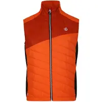 Regatta Dare 2B - Gilet "Touring" léger pour hommes RG9015 (XXL) (Lunde Orange/Rooibos Tee)