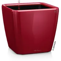 Lechuza Pot Quadro Premium Ls 21 - Kit Complet, Rouge Scarlet Brillant 21 Cm