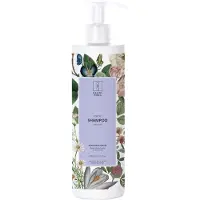 Raunsborg Moisture & Repair Shampoo Clair