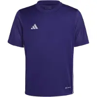 Adidas T-Shirt fonctionnel 'Tabela 23' gris argenté / violet foncé / blanc