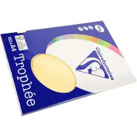 Clairefontaine Papier à copier Pollen A4 80g/qm 100 feuilles chamois (A4, 100 feuilles, 80 g/m²)