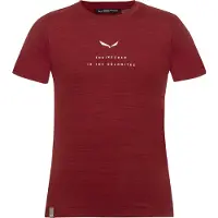 Salewa Eagle Dry Short Sleeve T-shirt Rouge 3-4 Years Garçon