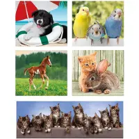 Clementoni CLE puzzle 10en1 SuperKolor Amis des animaux 20283