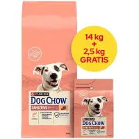 Purina Dog Chow Croquettes pour chiens adultes sensibles au saumon 14 + 2,5 kg