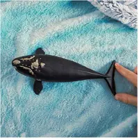 Schleich WILD LIFE 14878 Nordatlantischer Glattwal 14878