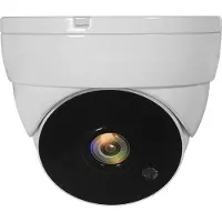 LevelOne ACS-5302 Caméra de sécurité CCTV Intérieure et extérieure Dome Plafond