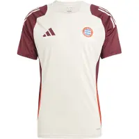 Adidas Fc Bayern Munich 24/25 Eu Training Short Sleeve T-shirt Beige L Homme