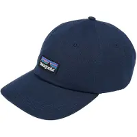 Patagonia Casquette 5 Pannel P-6 Label Trad