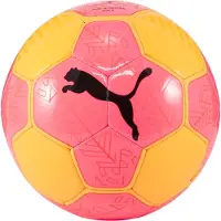 Puma 4