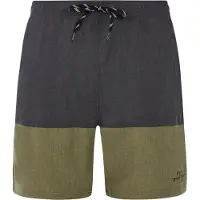 Protest Shorts de bain 'PRTFreddie' vert