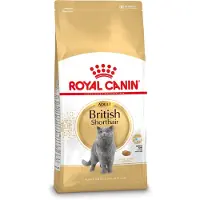 Royal Canin British Shorthair Adult - 2 kg