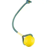 Starmark Swing N Fling Fetch Ball 8x6x28cm M