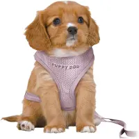 Trixie Harnais pour chien Junior, couleur lilas, taille M/L