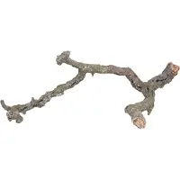 Trixie Tronchos mélange de branches de liège, hamster, souris, lapin, bois, bois, 1 pièce(s), 1 kg