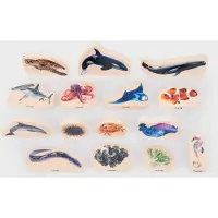 TickiT Holz Meeresleben Set de briques - Jouet éducatif 15 pièces