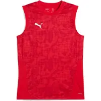 Puma Maillot 'teamCUP' rouge / blanc