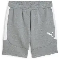 Puma Sweatshort Teamevostripe Hommes - Gris
