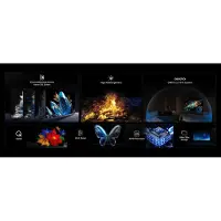 TCL C69KS 55C69KS TV 139,7 cm (55") 4K Ultra HD Smart TV Wifi Métallique
