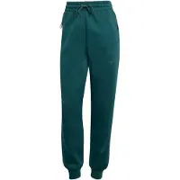 Adidas Z.n.e Pants Vert S / Regular Femme