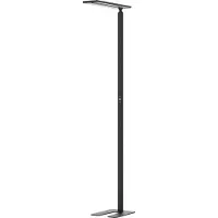 Hansa Lampadaire LED Hansa Larimar, réglable &amp; orientable, classe d'efficacité énergétique E, 81 lumens, 4000 K, H 1997 mm, noir
