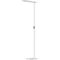 Hansa Lampadaire LED Hansa Larimar, réglable &amp; orientable, classe d'efficacité énergétique E, 81 lumens, 4000 K, H 1997 mm, blanc