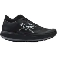 Arc'teryx - Chaussures de trail - Sylan Pro M Black/Black pour Homme - Taille 45 1/3 - Noir