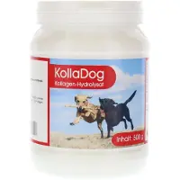 Berco - Arzneimittel, Gottfried Herzberg GmbH KollaDog : Poudre d'hydrolysat de collagène pour les cartilages, les tendons et les ligaments de toutes les races de chiens, 500 g