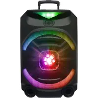 N-Gear THE FLASH 1240 - Enceinte Bluetooth Draadloze - 12 Inch Woofer - Karaoke Microfoon
