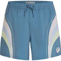 O'Neill O´riginals Longboard 15´´ Swimming Shorts Bleu L Homme