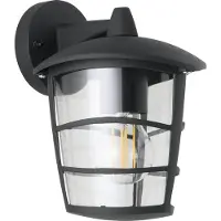 Eglo 93098 Applique extérieure Aguanish Noir, transparent IP44