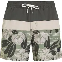 O'Neill Cali Block 15´´ Swimming Shorts Vert L Homme