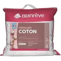 Blanreve Coussin Blanreve Blanc - 60 x 60 cm (Set de 2)
