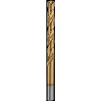 Bosch 2609255106 - FORETS MP