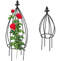 Relaxdays kit de 2 tuteurs pour plantes grimpantes (25 cm, 25 cm)
