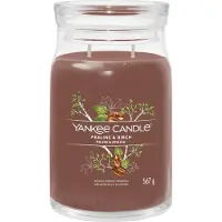 Yankee candle Bougie Praliné & Bouleau Signature (praliné et bouleau) - 567,0 g