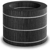 Beurer Filtre de rechange LB 200/300