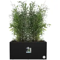 Elho Pot de Plante Rectangulaire Noir Elho - 59 x 30 x 29 cm