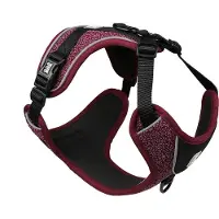 Laroy Duvoplus EXPLOR Ultimate Fit No-Pull-Geschirr - violet prune - XS - 28-37cm - 32-43cm