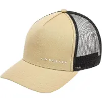 Oakley Cap Chalten - Pebble/Mist