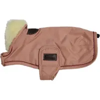 Kentucky Wp Dog Jacket Marron 40 cm