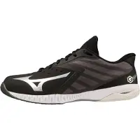 Mizuno Chaussures de Handball Wave Torwart Hommes noir blanc argent Gr 42,5