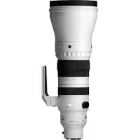 Sigma Objectif zoom Sports 300-600 f/4 DG OS Noir et Blanc pour Monture Sony E