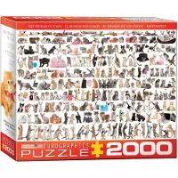 Eurographics Le monde des chats (2000)